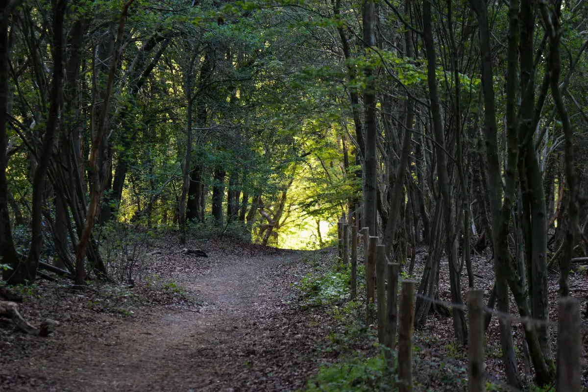 Fotografie: avondlicht op het Gelderse platteland