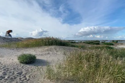 Landal is het meest duurzame reismerk van Nederland