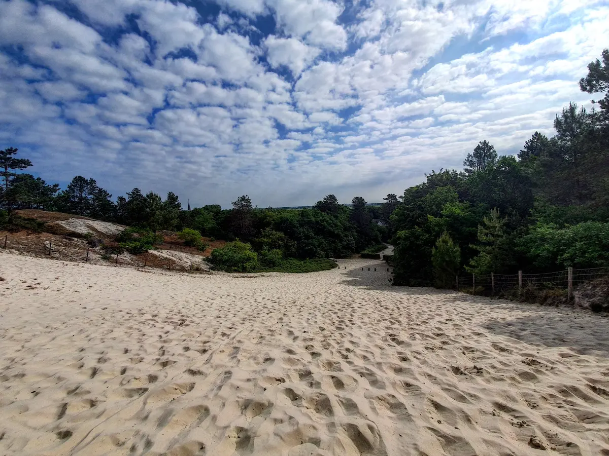 Wandelen in Nederland | Hoogste duintop van Nederland, bij Schoorl