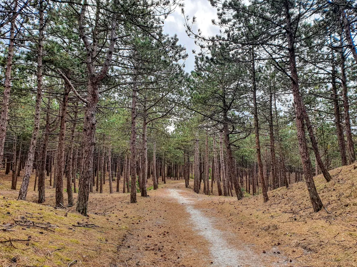 Hoogste duintop Nederland 