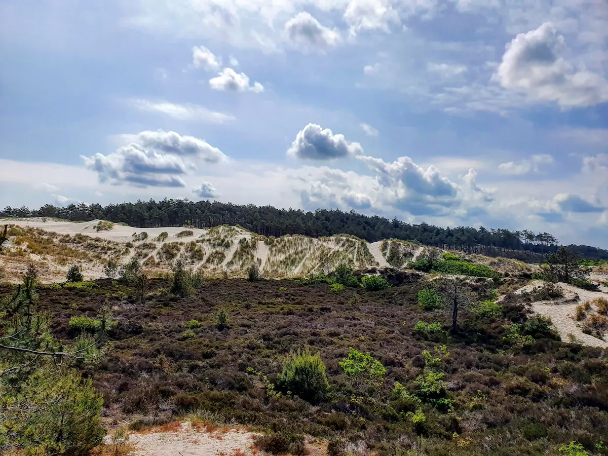 Hoogste duintop Nederland 