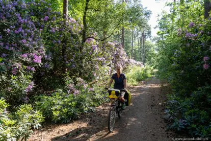 VisitBrabant toont met druktemeter de actuele drukte in natuurgebieden