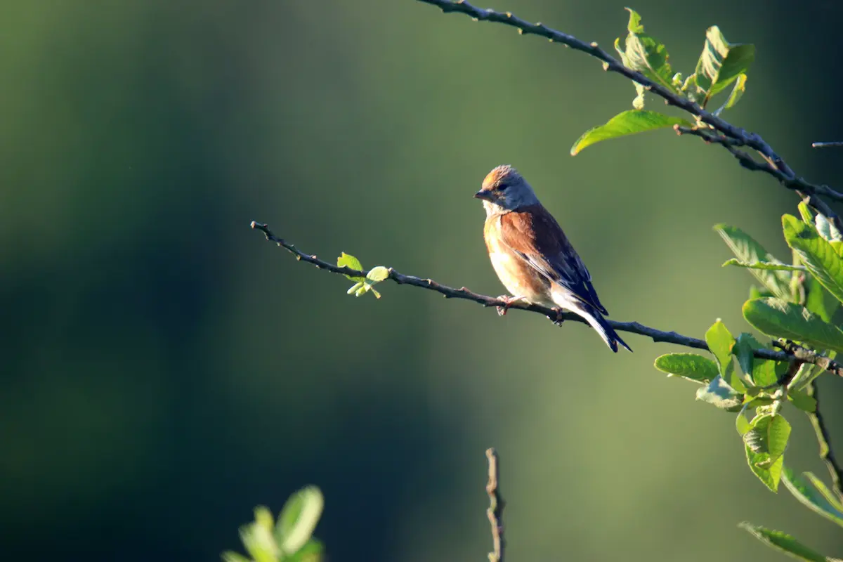 Nationaal Park Lauwersmeer