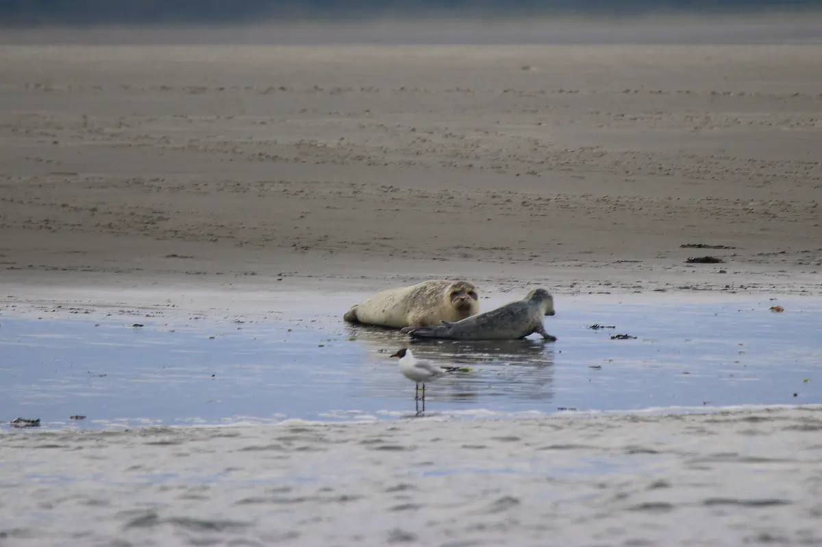 Nationaal Park Lauwersmeer