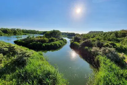 Nationaal Park Lauwersmeer | Deze hoogtepunten wil je niet missen