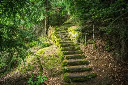 Wandelen door bossen en over bergen in het Noordelijke Zwarte Woud