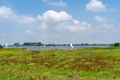 REISVERSLAG | Struinen door de wildernis van Tiengemeten
