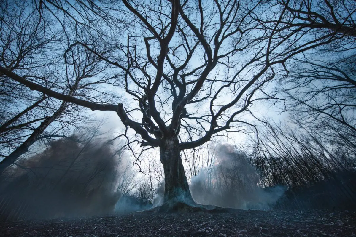De 7 leukste tips voor Brabantse natuuravonturen met kinderen