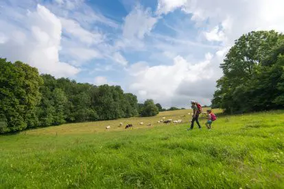 Een berghut vlakbij de Nederlandse grens in de Belgische Ardennen!