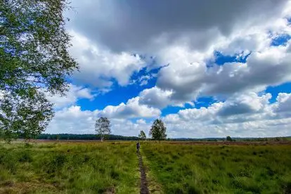 Een prachtige nazomerwandeling in Heelsum en Doorwerth