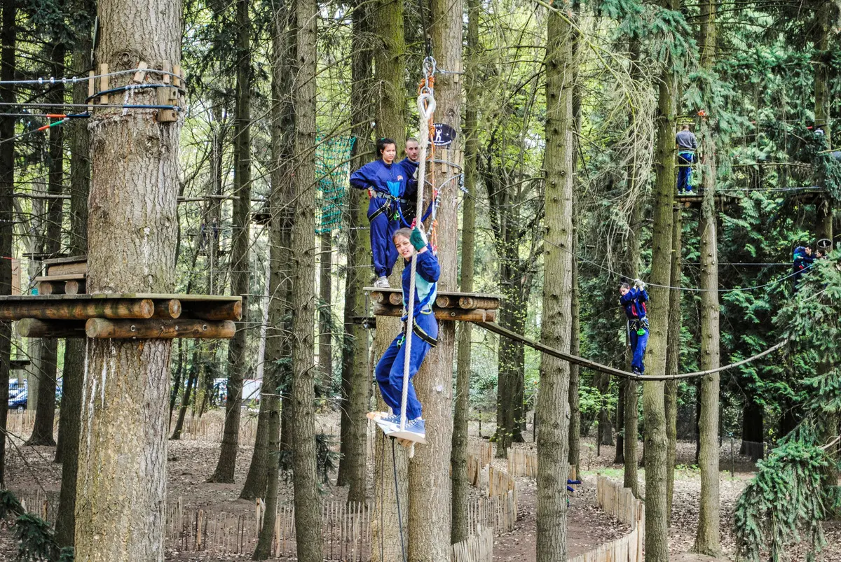Doe de boomtoppenroute in het Adventure Parc. Copyright: Aventure Parc
