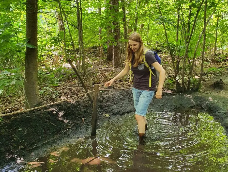 Roadtrip door Nederland: Provincie Limburg