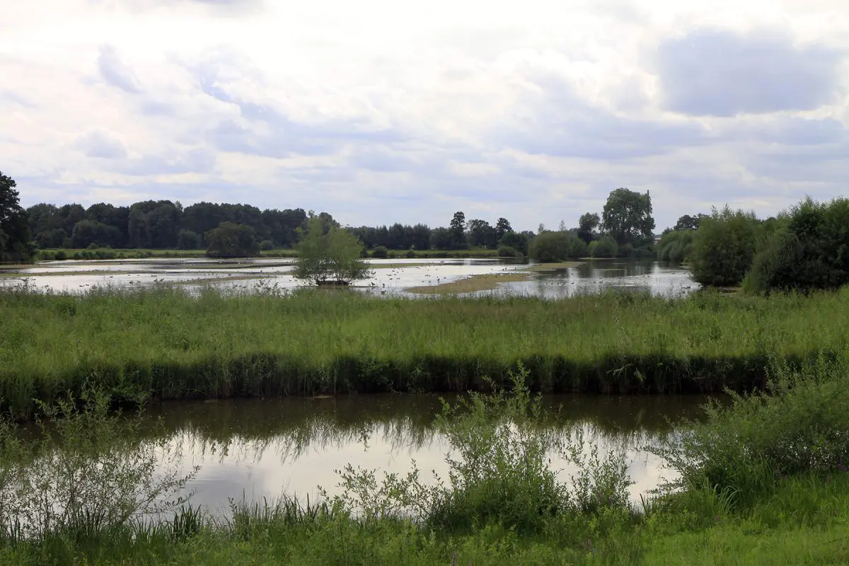 Het vogelgebied van Steinhorster Becken
