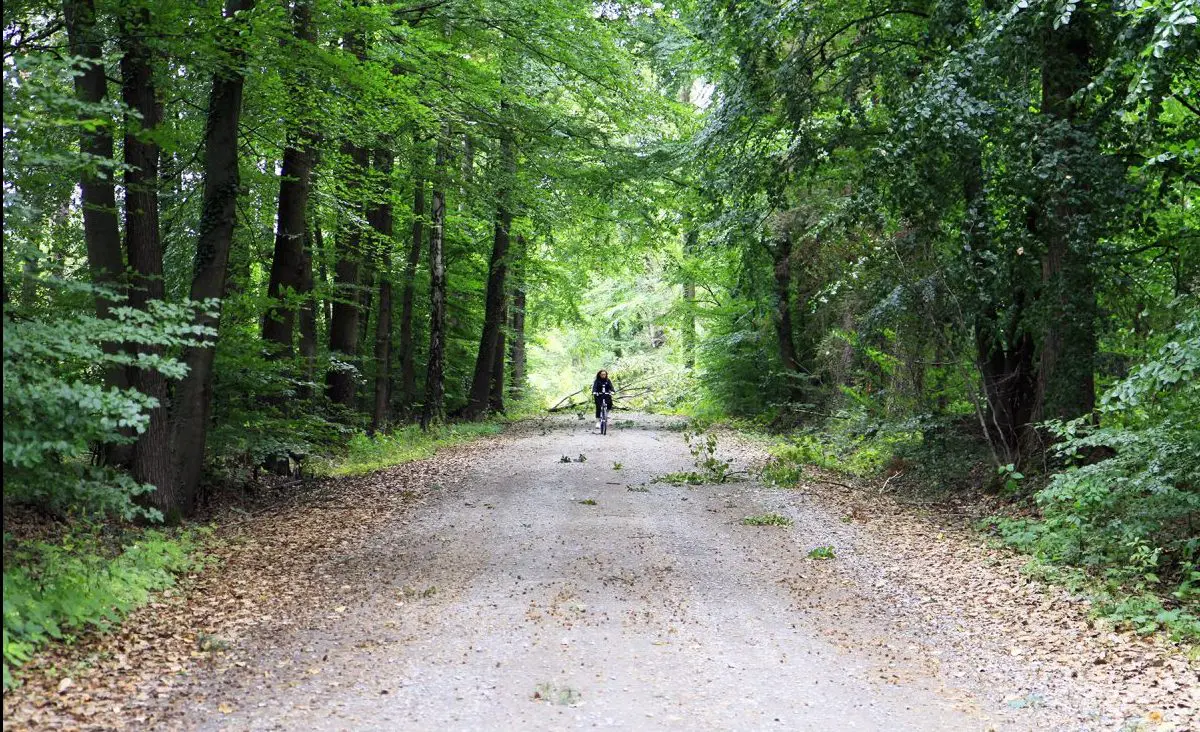 REISVERSLAG | Op avontuur in het Duitse Teutoburgerwoud