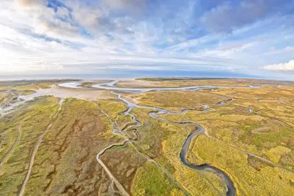 Speciaal voor jou: de 5 mooiste plekjes in de Texelse natuur