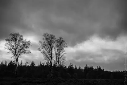 Geen Black Friday voor Haglöfs. Ga niet shoppen, maar trek de natuur in!