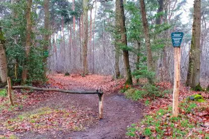 WANDELROUTES LIMBURG |  Wandelen langs Duitsland en blauwe bessen in Boukoul