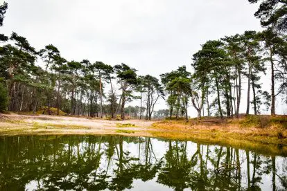 Wandelroutes in Nederland | Wekeromse Zand op de Veluwe