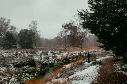 WANDELEN IN NEDERLAND | Wolfhezerheide en de Heelsumse Beek