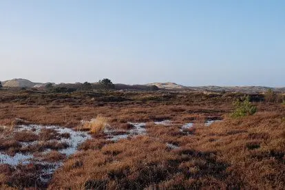 WANDELVERHALEN | Uitwaaien op Terschelling in de winter