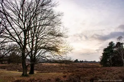 WANDELEN IN GELDERLAND | Rust, ruimte en vergezichten bij Doorwerth
