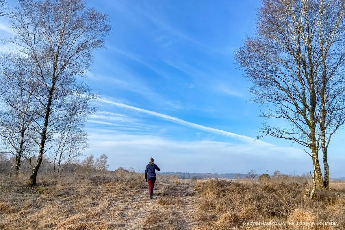 WANDELVERSLAG | De Buunderkamp en de Ginkelse Heide
