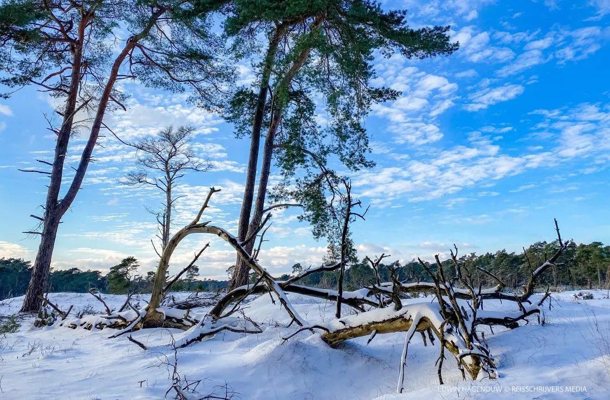 FOTO-WEDSTRIJD | Win leuke prijzen met je mooiste winterfoto's