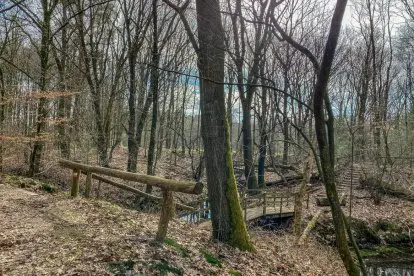 WANDELEN IN NL | Het Horsthoekerpad bij Heerde op de Veluwe