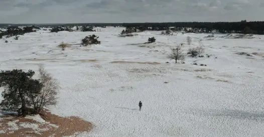 Kootwijk, De Veluwe | Sabrina Gaudio