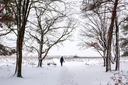 WINTERWANDELEN | Door de sneeuw van natuurrijk Doorwerth en Heelsum