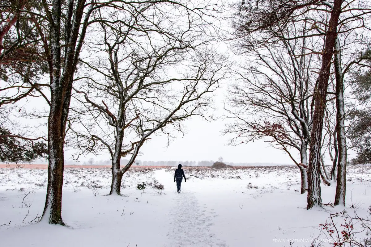 WINTERWANDELEN | Door de sneeuw van natuurrijk Doorwerth en Heelsum