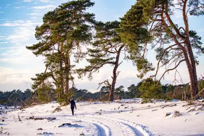 WINTER-FOTOGRAFIE |  8 TIPS OM DE PERFECTE SNEEUWFOTO TE MAKEN