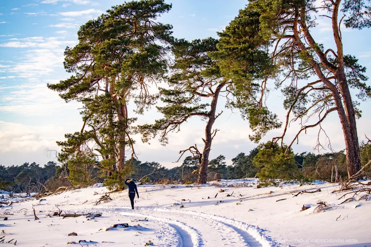 WINTER-FOTOGRAFIE |  8 TIPS OM DE PERFECTE SNEEUWFOTO TE MAKEN