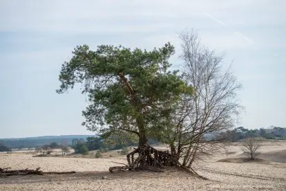 NATUURFOTO-WEDSTRIJD | Win Hanne Tersmette's boek #GAAN