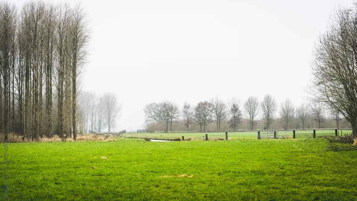 Wandelen rondom Landgoed Mariënwaerdt in de Betuwe