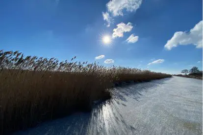 Op de schaats zwieren door Nationaal Park De Weerribben