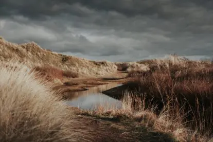 Wandelen in Nederland | Alleen op de wereld op Zuid-Texel