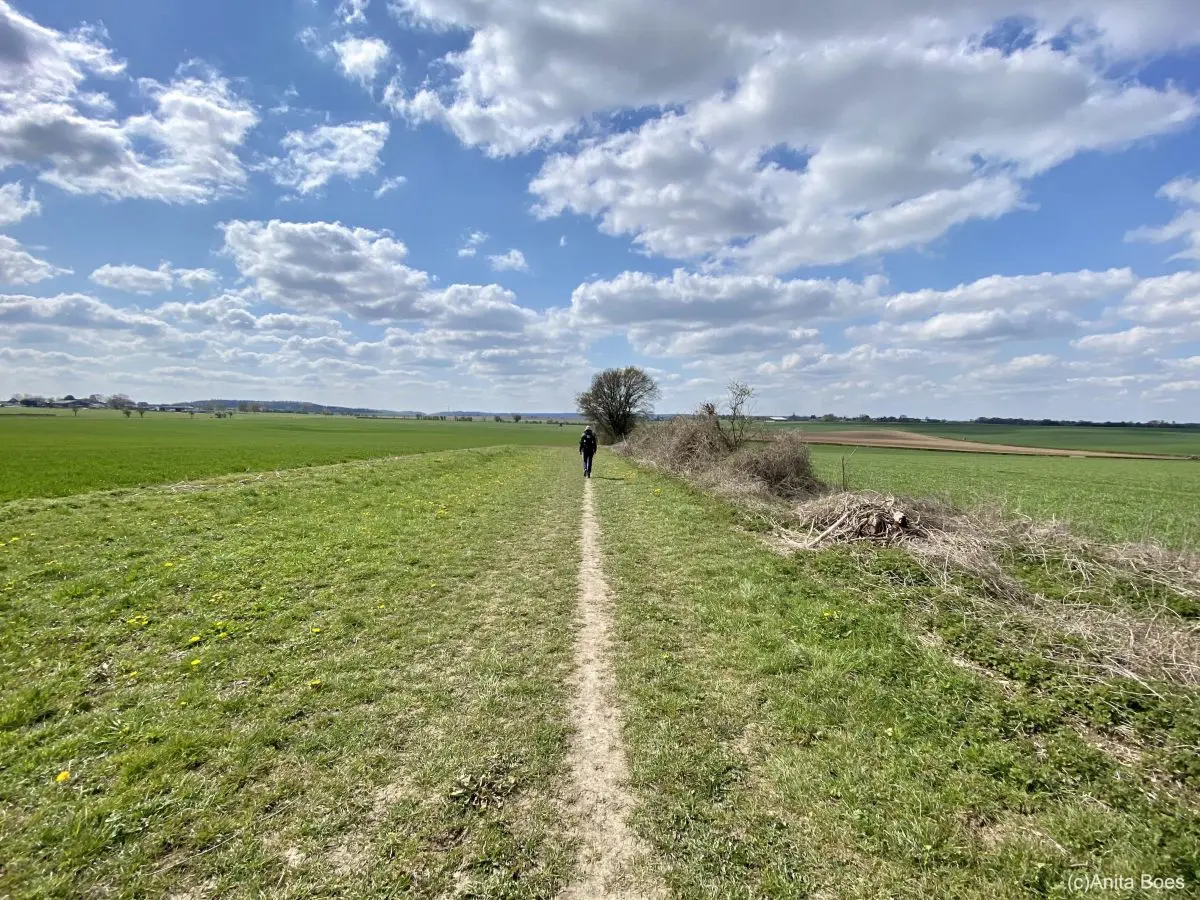 WANDELVERSLAG | Dutch Mountain Trail, dag 2 door Duitsland naar Vaals