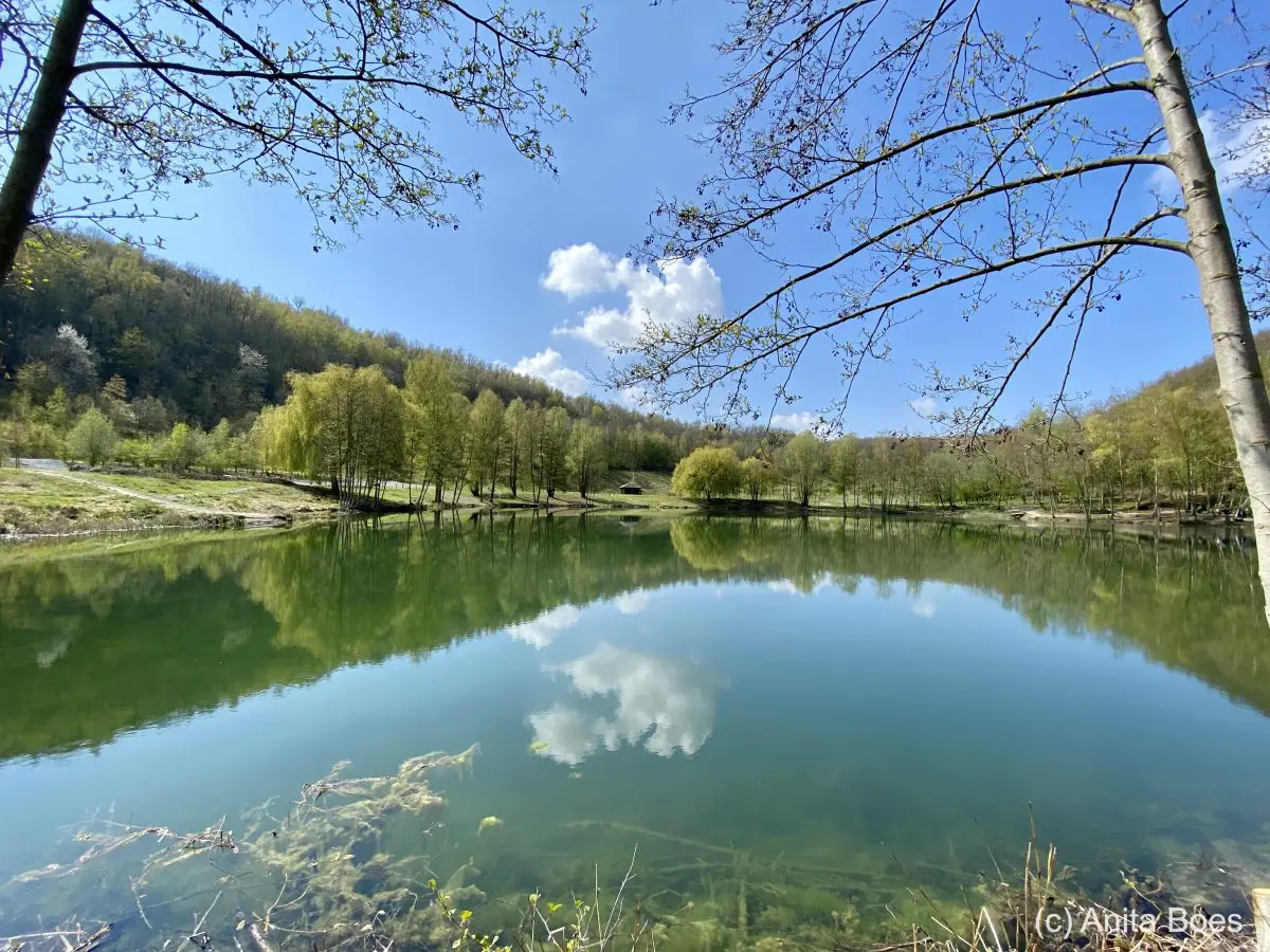 WANDELVERSLAG | Dutch Mountain Trail Sint Pietersberg