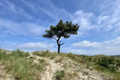 WANDELVERSLAG | Waddenwandelen op een streekpad op Terschelling
