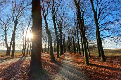 Fotoverslag Wandelroute Planken Wambuis bij Ede en Otterloo
