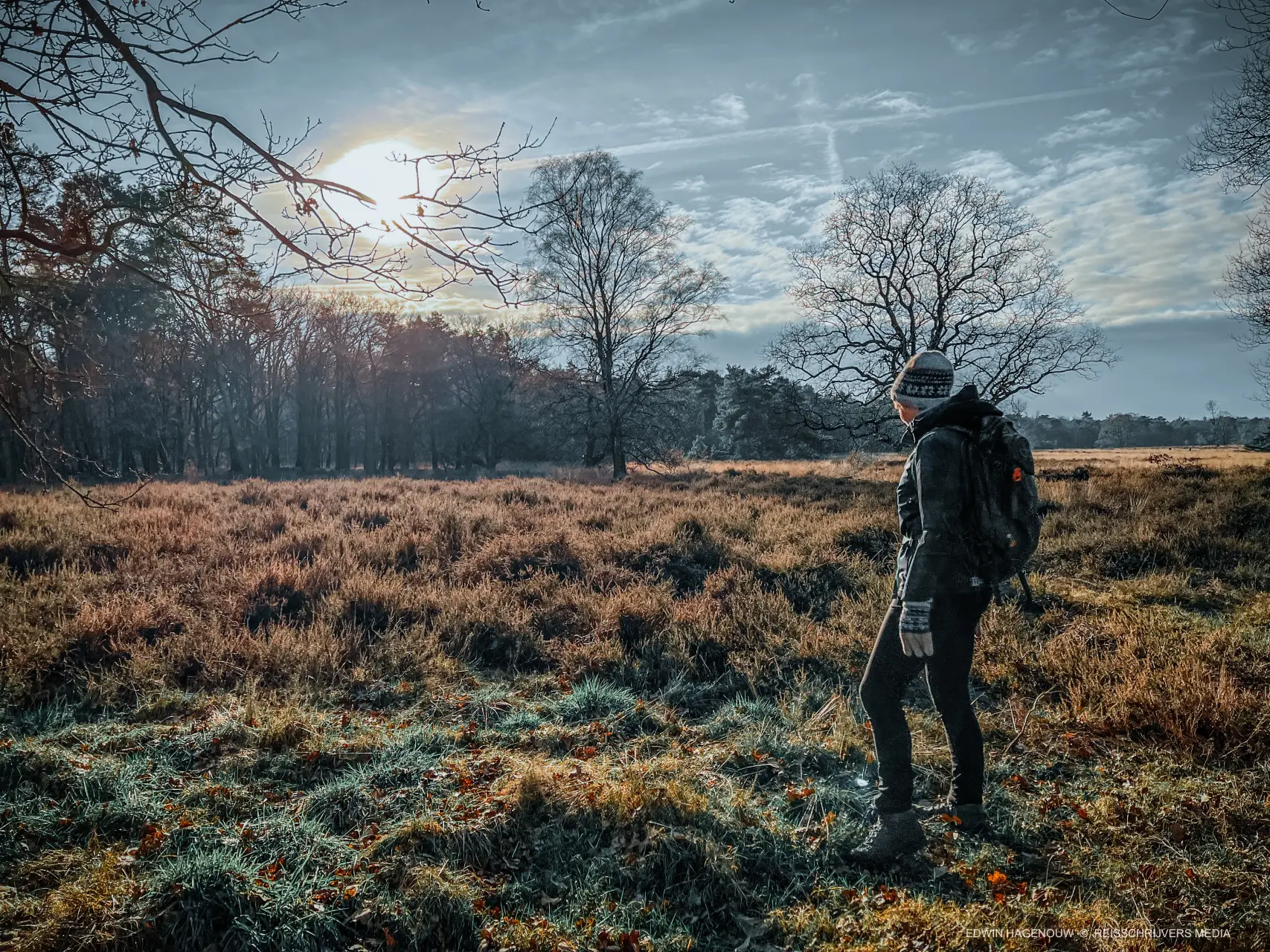 Wandelen op Doorwerthse Heide