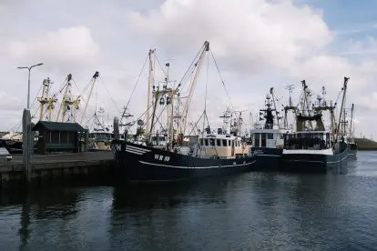 Een dagtrip naar de Noord-Hollandse Waddenkust