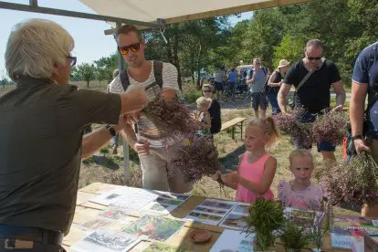 Het Nationale Park De Hoge Veluwe nodigt je uit om heide te knippen