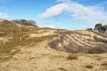 Verslag van mijn fiets- en wandeltrektocht door de Hollandse Duinen