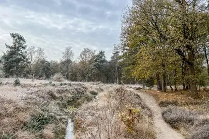 Verslag van de eerste winterse dag van winter 22/23