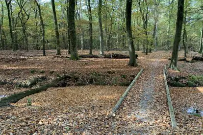 Edelherttrail, wandelen in het spoor van het edelhert