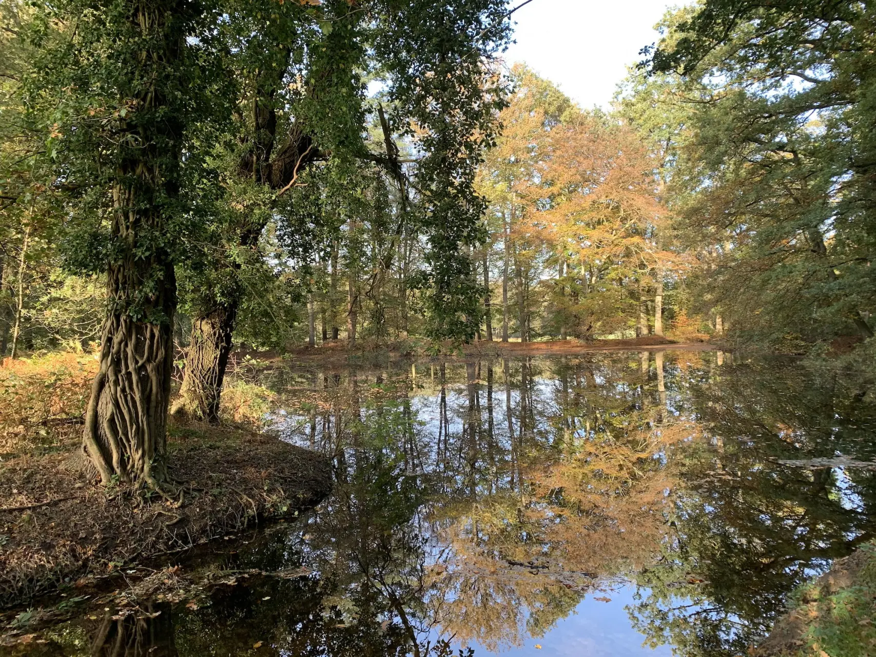 staverden veluwe