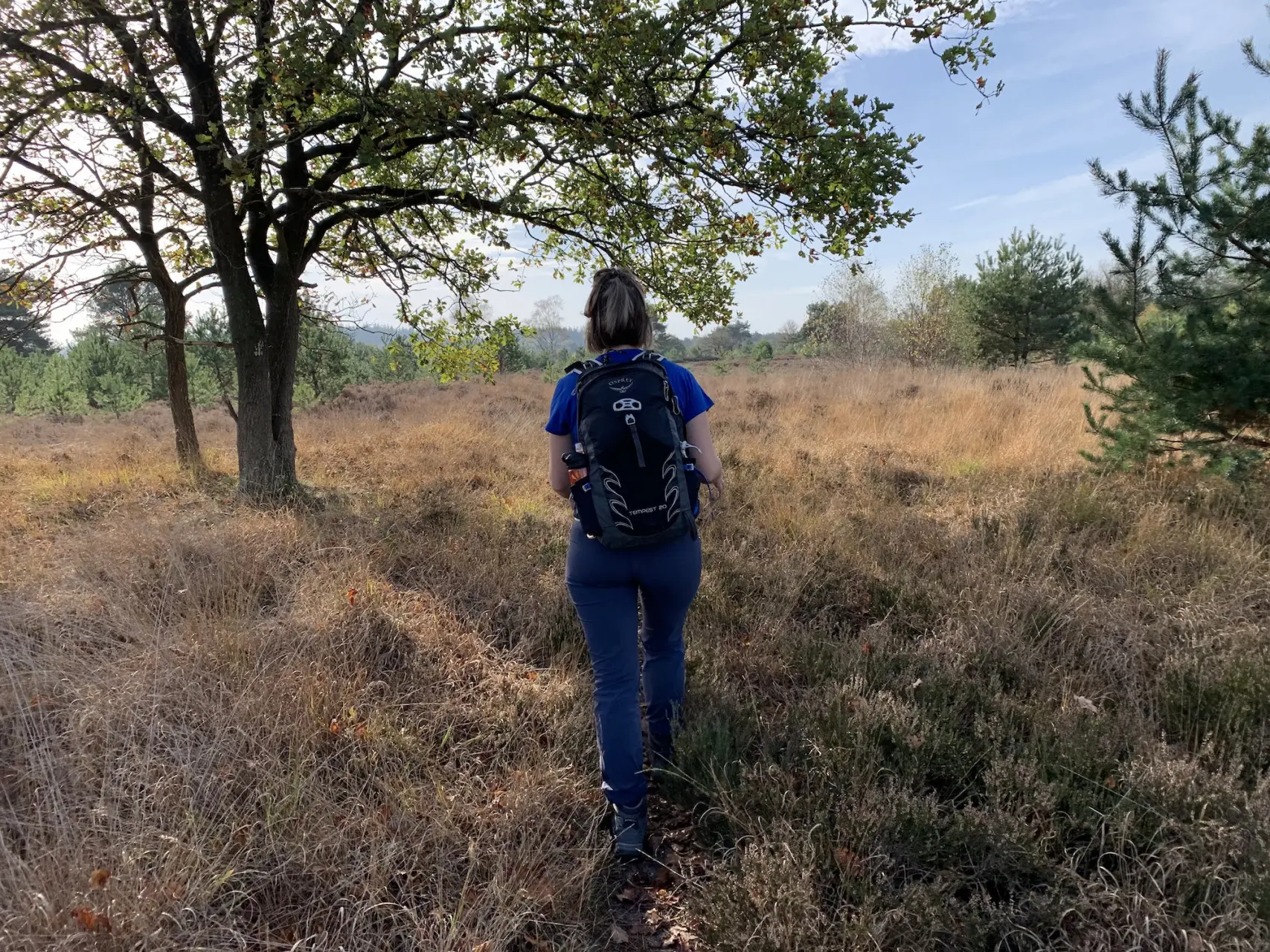 veluwe edelherttrail