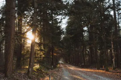 Wandelen in Van Gogh Nationaal Park | Op zoek naar licht
